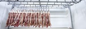 cold room for meat